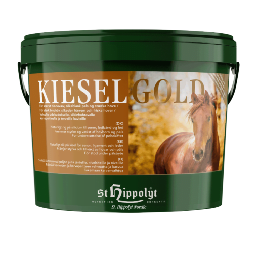 Kieselgold, 4kg