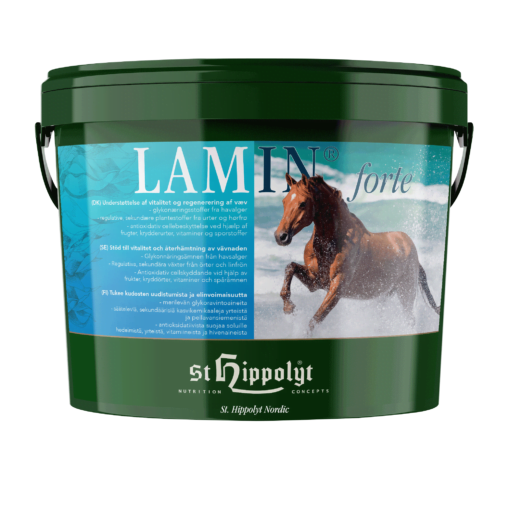 Lamin Forte, 3kg