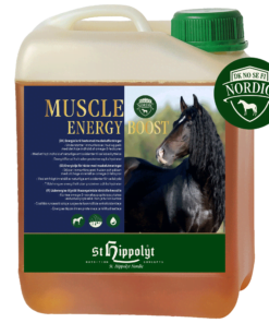 Muscle Energy Boost, 2,5liter